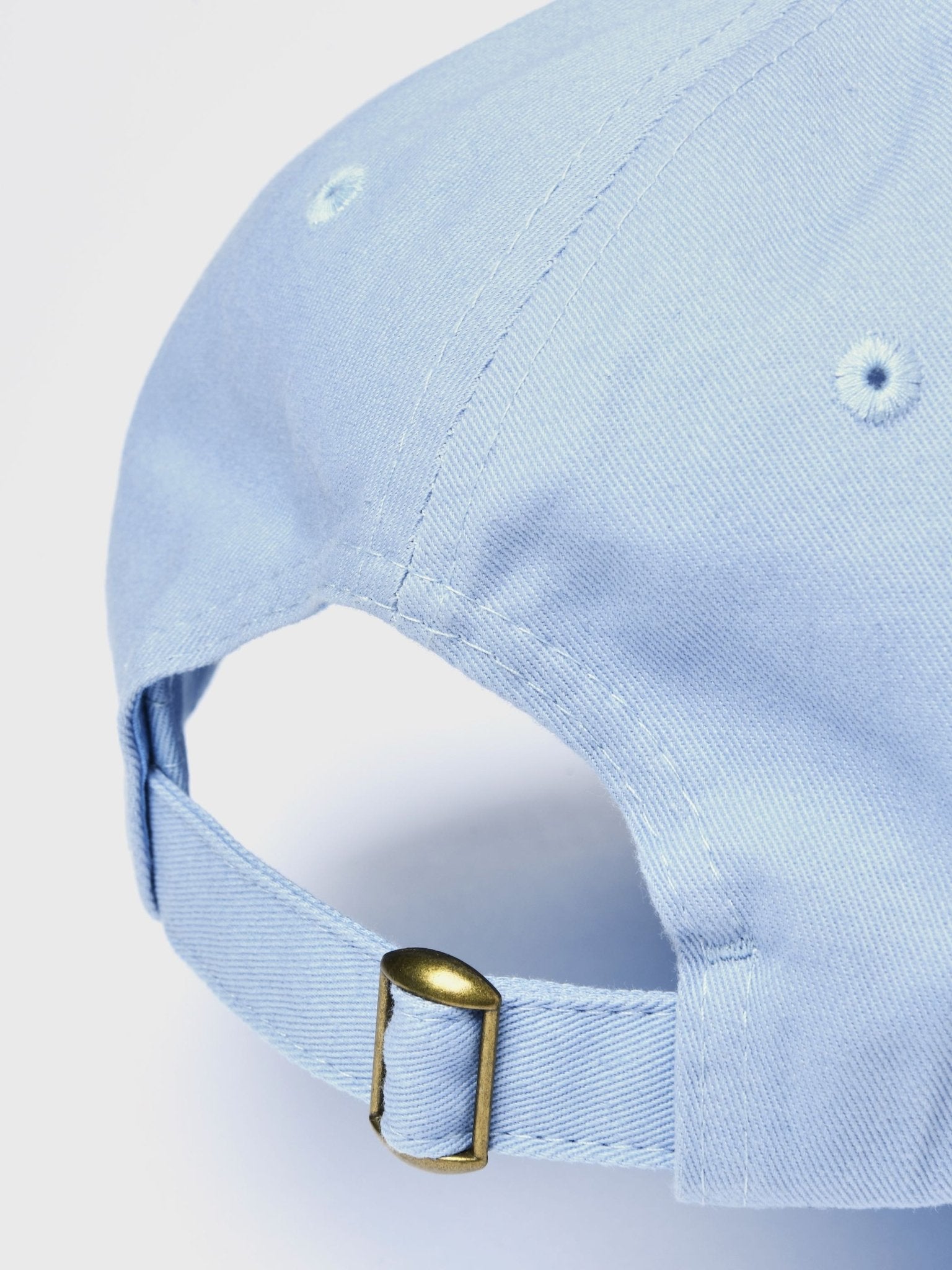 special-edition-hat-222240.jpg